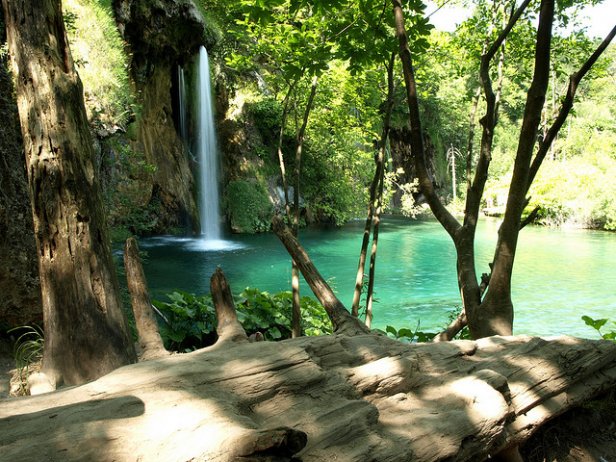 /Cascadas en el Parque Natural