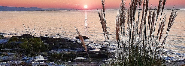/Cambados desde Corbillón